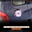 자동차를사랑하는사람