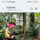 까까맘마 이미지