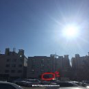 대구 무니스 마카롱 먹은 후기