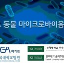 메가병원 이미지
