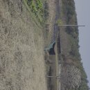 김태영사무소 이미지