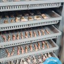 평생함개 이미지