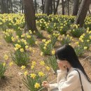 저스트킵고잉 이미지