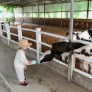 상몽농장2 이미지