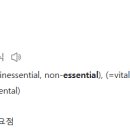 루트핏(ROOT FIT) 이미지