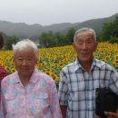 환이농장 이미지