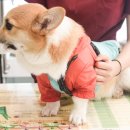 해태동물병원 이미지