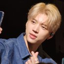 호텔나무 이미지