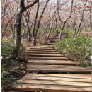 영남인쇄점 | 가야산 산행 -경남 합천의 명산