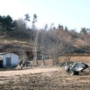 단월정육점