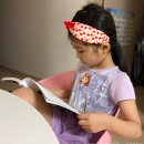 금천아람어린이집 | 마포 어린이서점 도토리책방 유아 초등 전집 모두 살펴보고 와봤다.