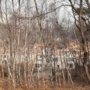 필봉산길 이미지