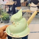 위뱅아트윅스 | 2026 포트빌리지 수중마을 부산항 축제 토요일 일요일 방문후기 :: 아미산, 신발원, 내호냉면 등