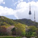 남산 이미지