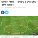 잔디 좋아지면 축구선수들 경기력 확 올라가요 이미지