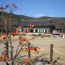 금구3 이미지