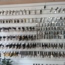 신비마을아파트1,2,3,4단지 이미지