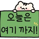 당거리국수 이미지