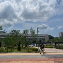 LG메트로체육관 | (vs LG) 6/15 대전한화생명볼파크! 한화ㅇ1글스! 내야...201구역 3열 시야후기! 한밭체육관주차, 위치...