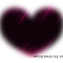 새한정보