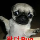 월