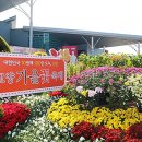 플로웰 네이버블로그