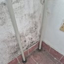 산현로 | 효창동 구축 빌라 입주청소 후기｜대동빌라트 전체 클리닝 작업기