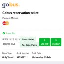 카이로약국 이미지