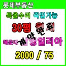삼영일리아 이미지