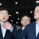 단호 이미지