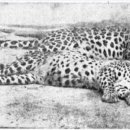 어린이 독서리더 2학년 이미지