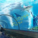 엑스포로(R+L) 이미지