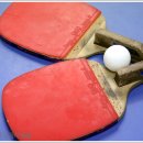 금산군 탁구장 이미지