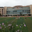 서울중곡초등학교 이미지