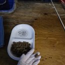 붕어카페 | 혜화역 놀거리 착한붕어 낚시카페 후기 | 서울 이색 데이트 실내 데이트