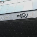 설빙고양