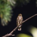 호수천연축구장 이미지