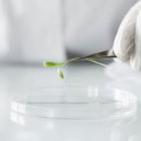 갈매송한의원 이미지