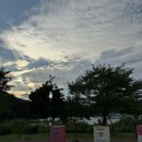 글램독통영 이미지