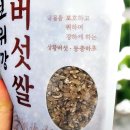 용이네 농장 | 몸에 좋은 발아현미밥 짓기 영글어농장 상황버섯쌀 추천