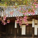 자연이 하는 말을 받아쓰다 이미지