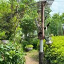 다래목장 이미지