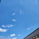 솔솔민박 이미지