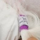 수아동물병원 이미지