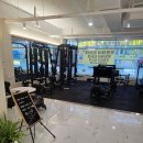 바디스케치 이미지