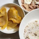 7547 | 국산 묵은지 김치 추천 내돈내산 한국농협김치 솔직 후기