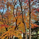 계남초교 이미지