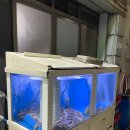 오천냥 포차 이미지