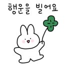 새로나세차장 이미지