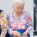 행복한마당 | &#34;시원한 바람과 함께, 어르신들과의 행복한 마당 산책&#34;